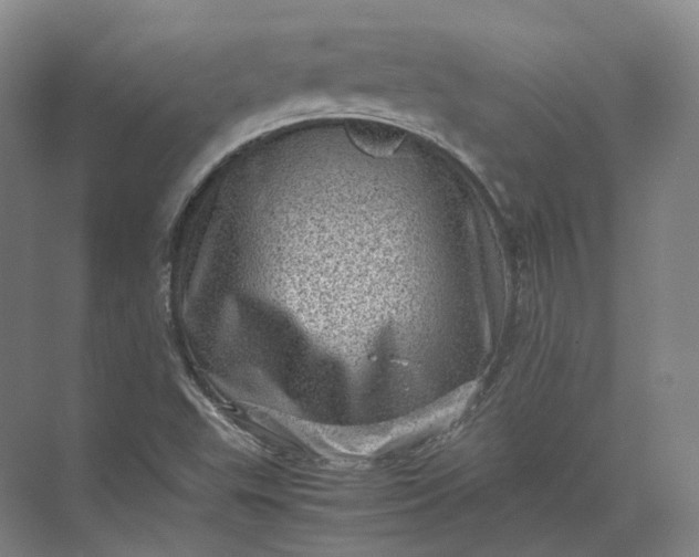 X0000071781503200607150041