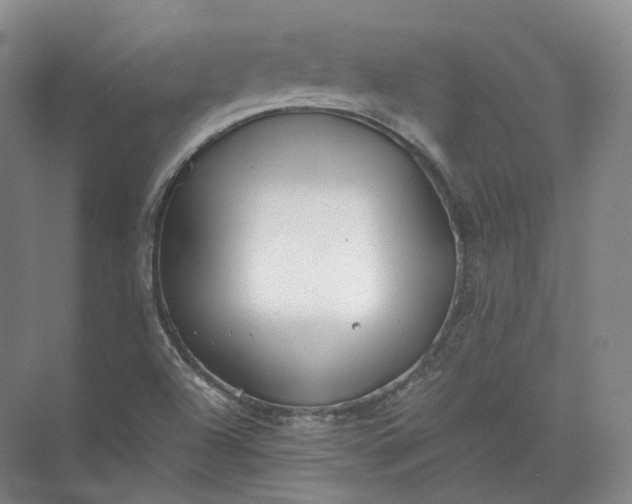 X0000071781504200607150041