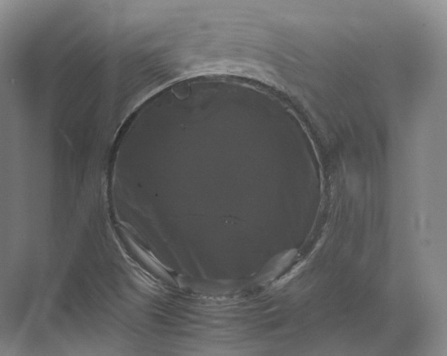 X0000071781505200607150041