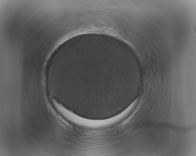 X0000071781506200607150041