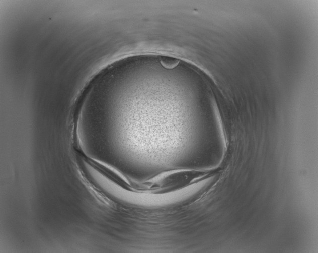 X0000071781507200607150041