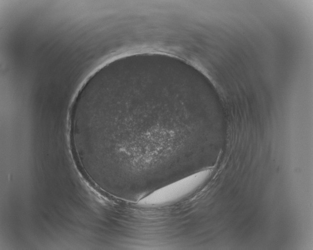 X0000071781508200607150041