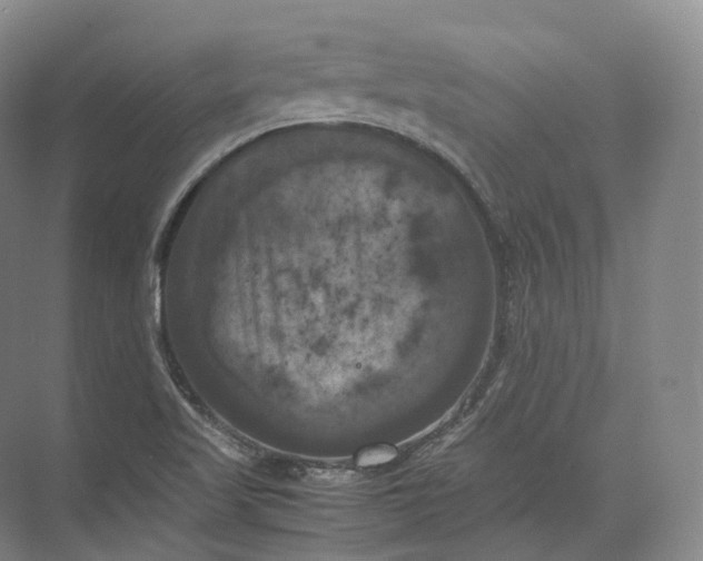 X0000071781509200607150041