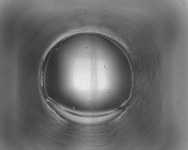 X0000071781510200607150041