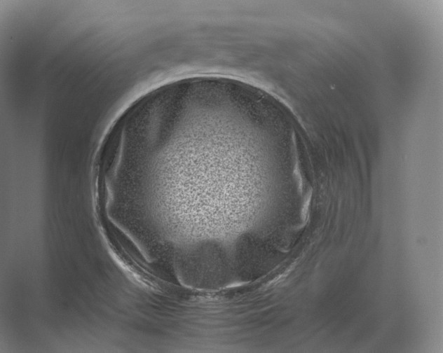 X0000071781511200607150041