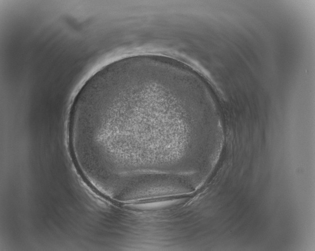 X0000071781512200607150041