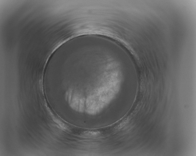 X0000071781513200607150041