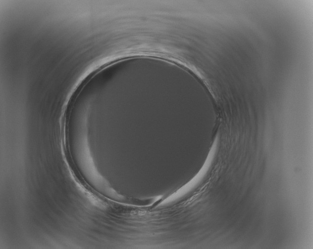 X0000071781515200607150041