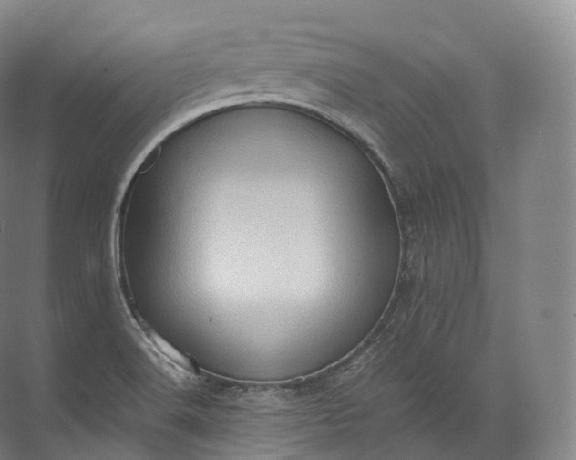 X0000071781516200607150041