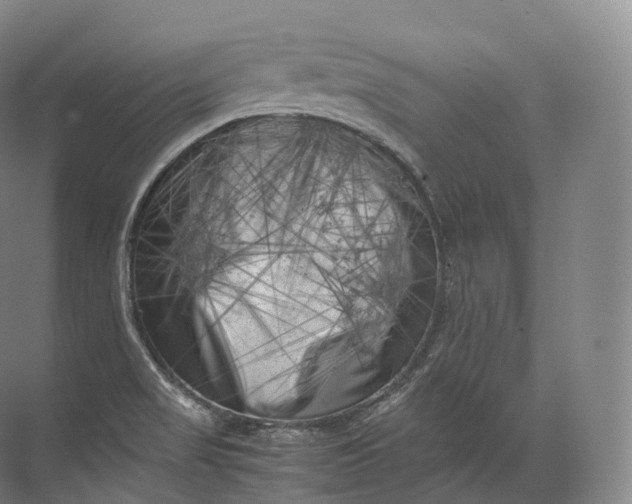 X0000071781517200607150041