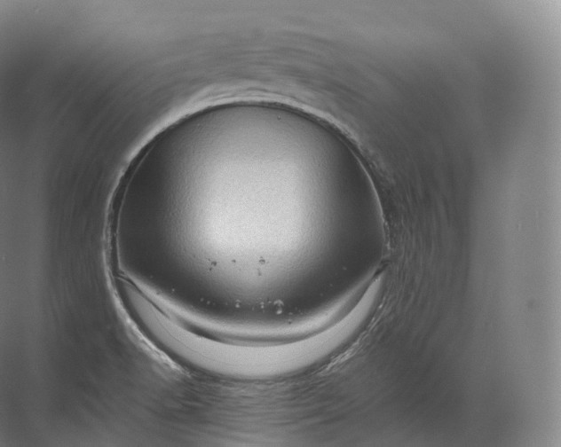 X0000071781518200607150041