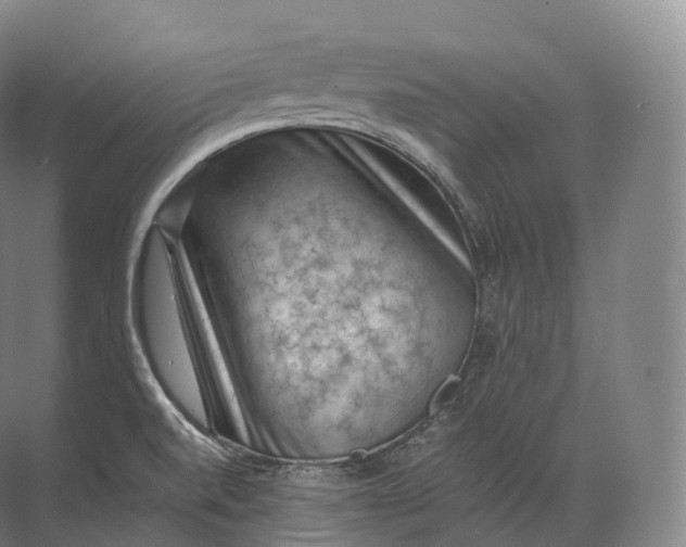 X0000071781520200607150041