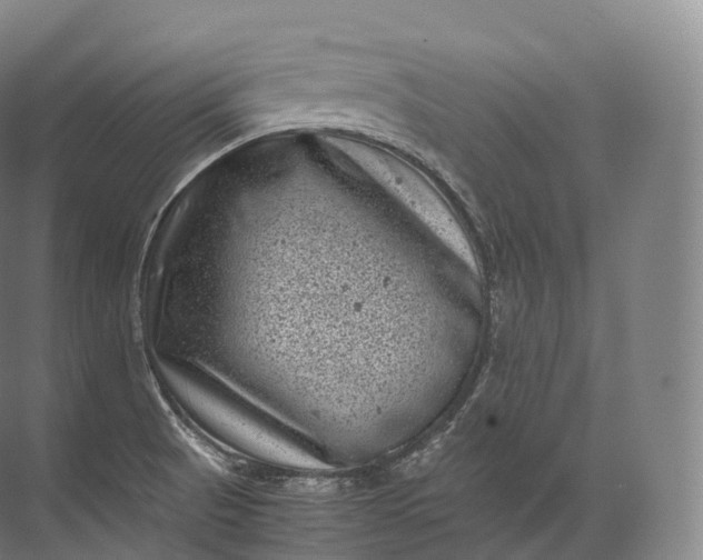 X0000071781521200607150041