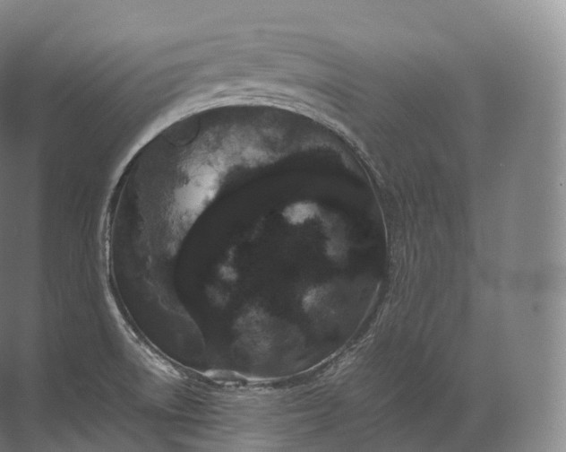 X0000071781522200607150042