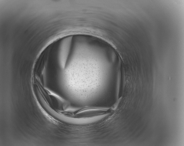 X0000071781523200607150042