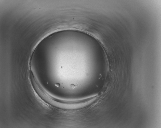 X0000071781524200607150042