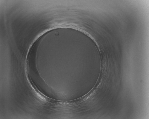 X0000071781525200607150042