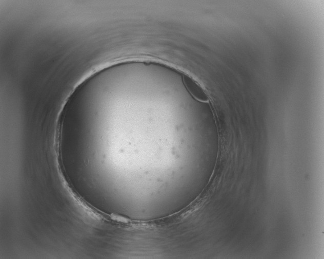 X0000071781526200607150042