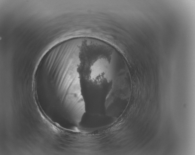 X0000071781527200607150042