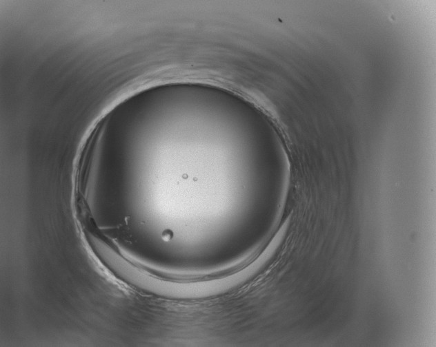 X0000071781528200607150042