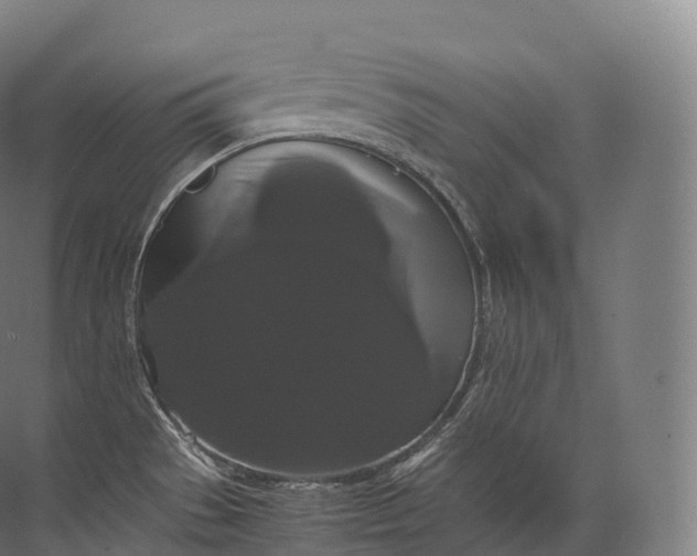 X0000071781529200607150042