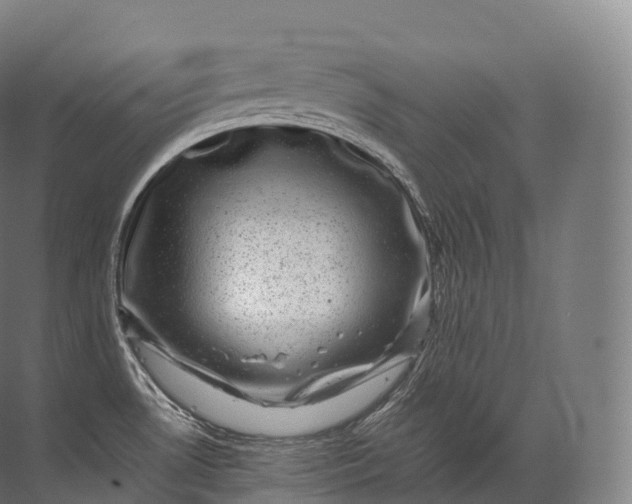 X0000071781530200607150042