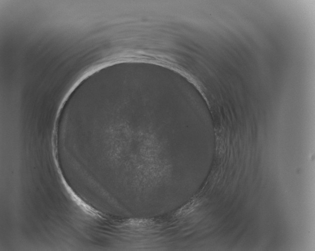 X0000071781531200607150042