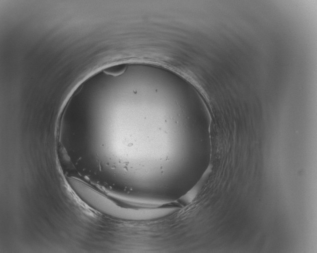 X0000071781532200607150042