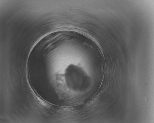 X0000071781533200607150042