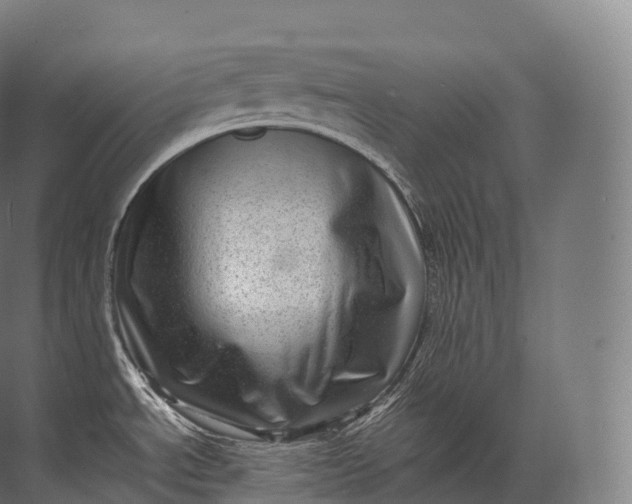 X0000071781534200607150042