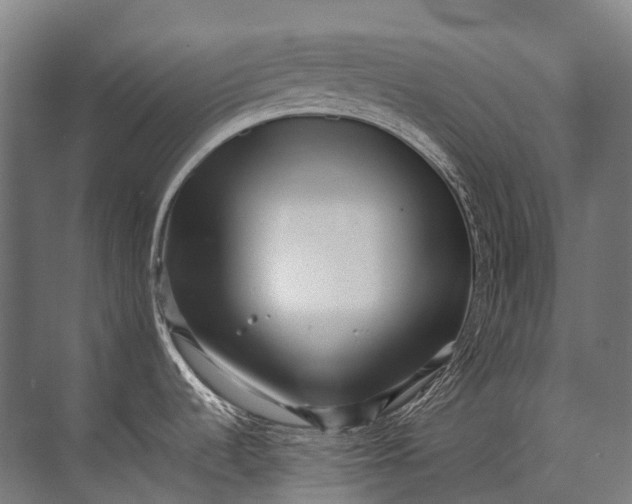 X0000071781536200607150042