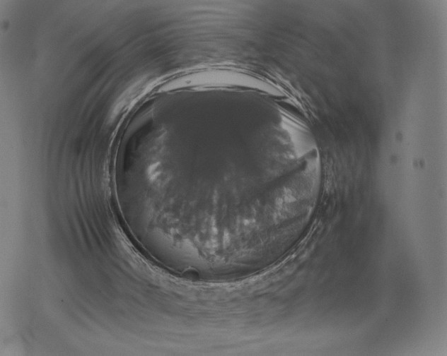 X0000071780002200607211608