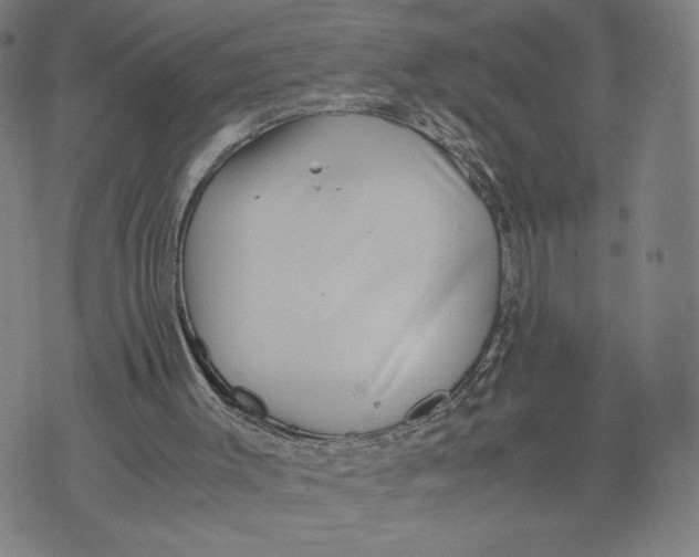 X0000071780003200607211608