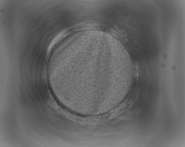 X0000071780004200607211608