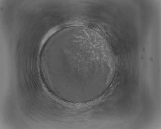 X0000071780006200607211608