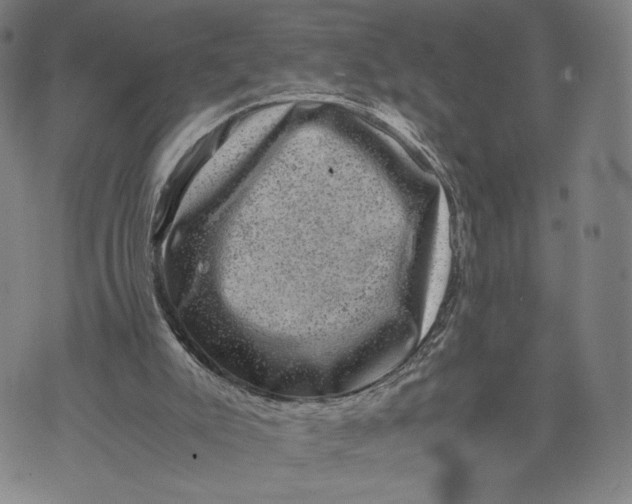 X0000071780007200607211608