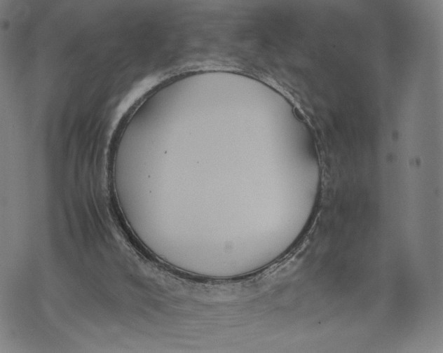 X0000071780008200607211608