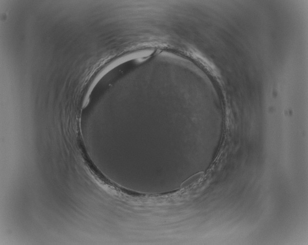 X0000071780009200607211608