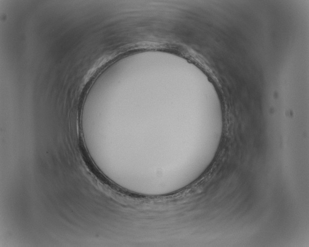 X0000071780011200607211608