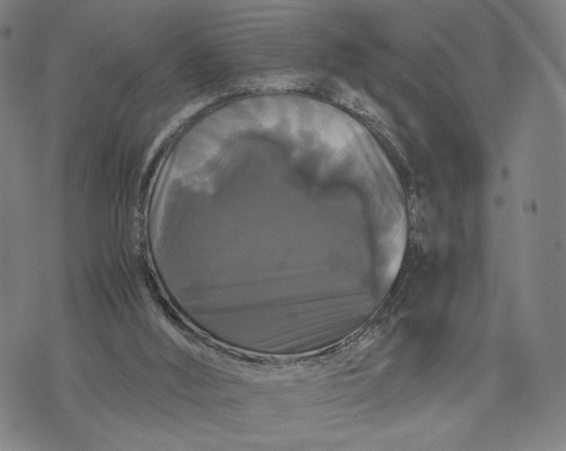 X0000071780012200607211608