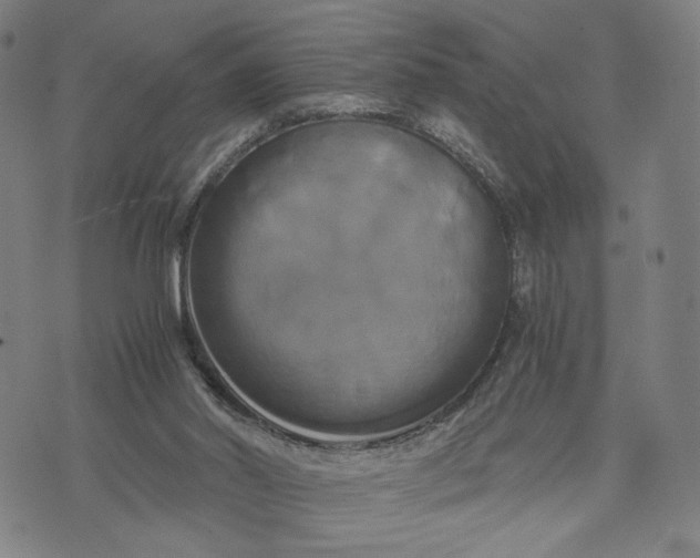 X0000071780014200607211608