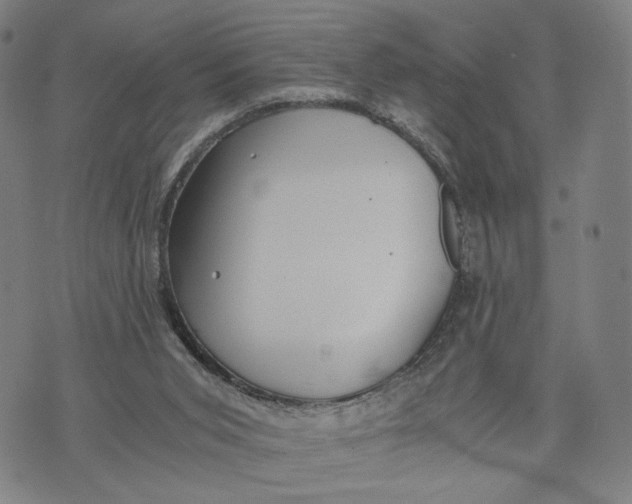 X0000071780015200607211608