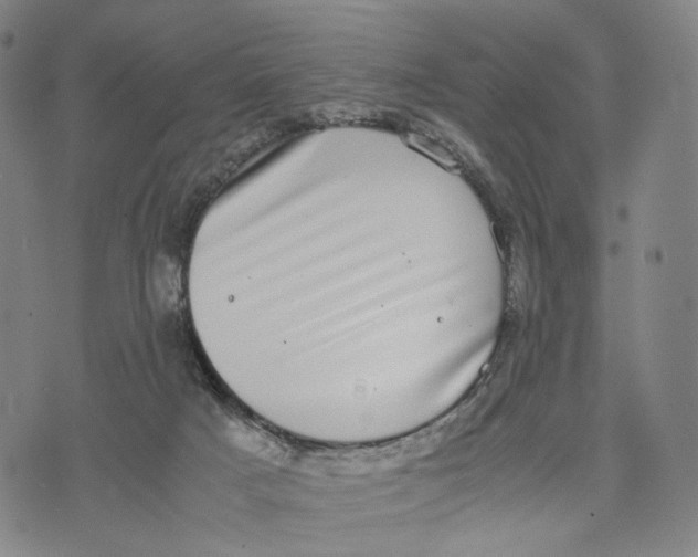 X0000071780025200607211608