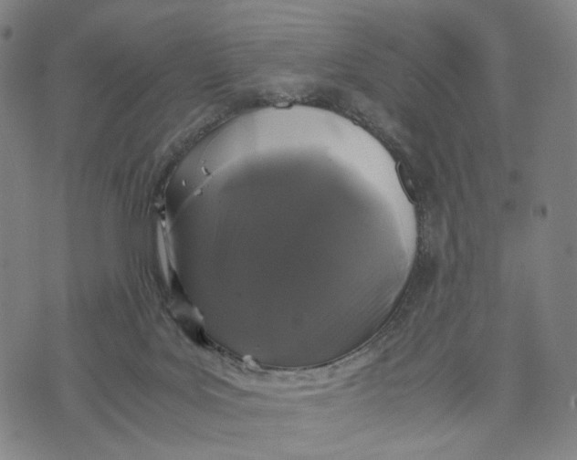 X0000071780027200607211608