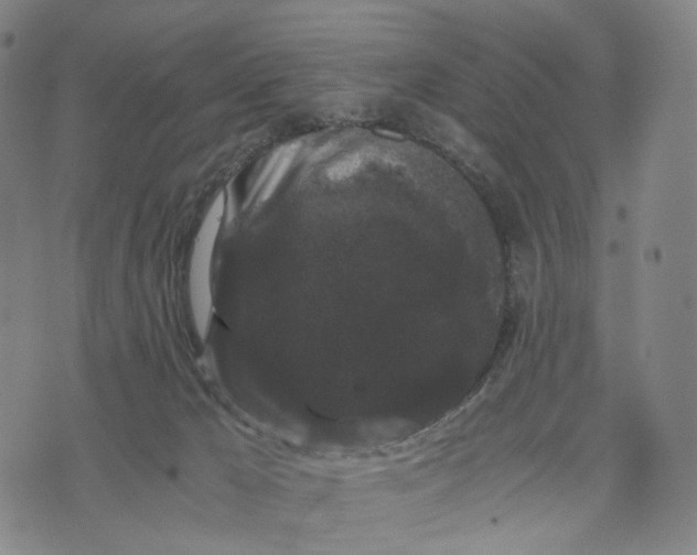 X0000071780029200607211608