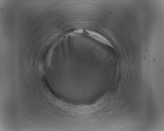 X0000071780031200607211608