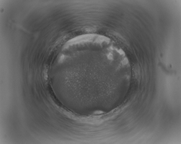 X0000071780032200607211608