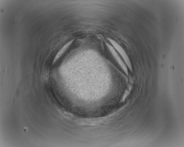 X0000071780033200607211608