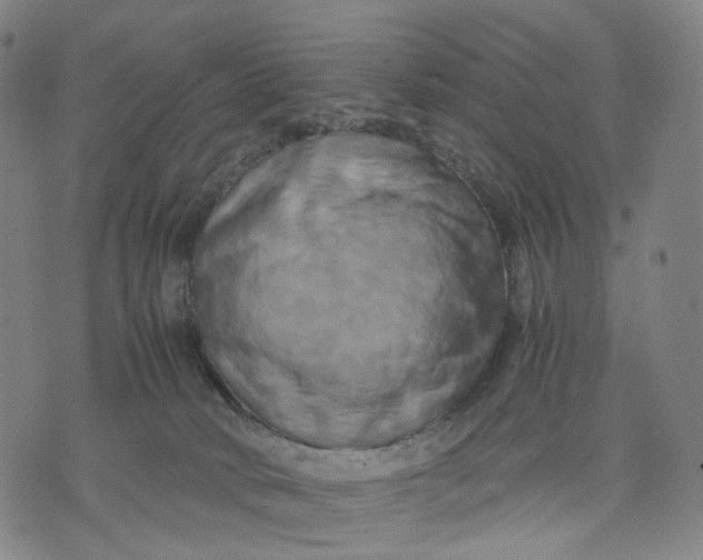 X0000071780034200607211608