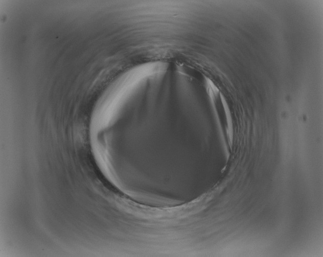 X0000071780035200607211608